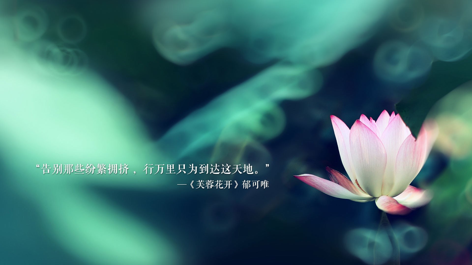 _运动员公益活动：回馈社会传递正能量_，运动员慈善