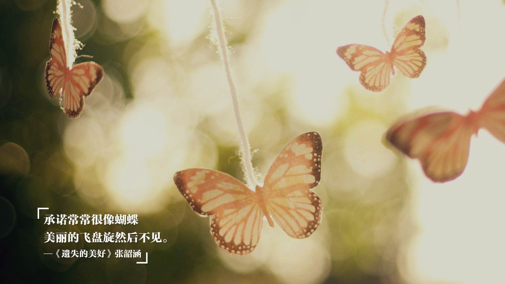 开云官网-“场外趣事：明星球员的暖心生活”，明星球员足球