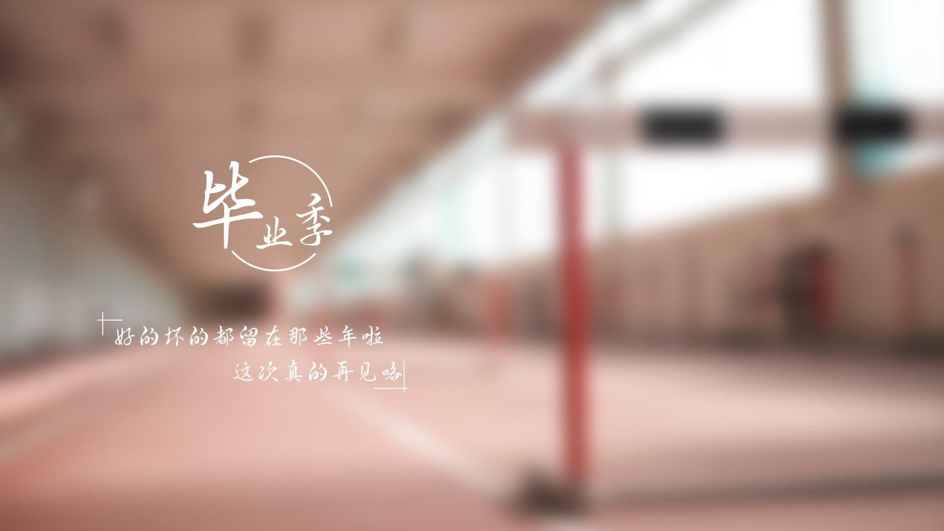 全球马术盛典，骑士们的豪华竞技秀，马术世界冠军