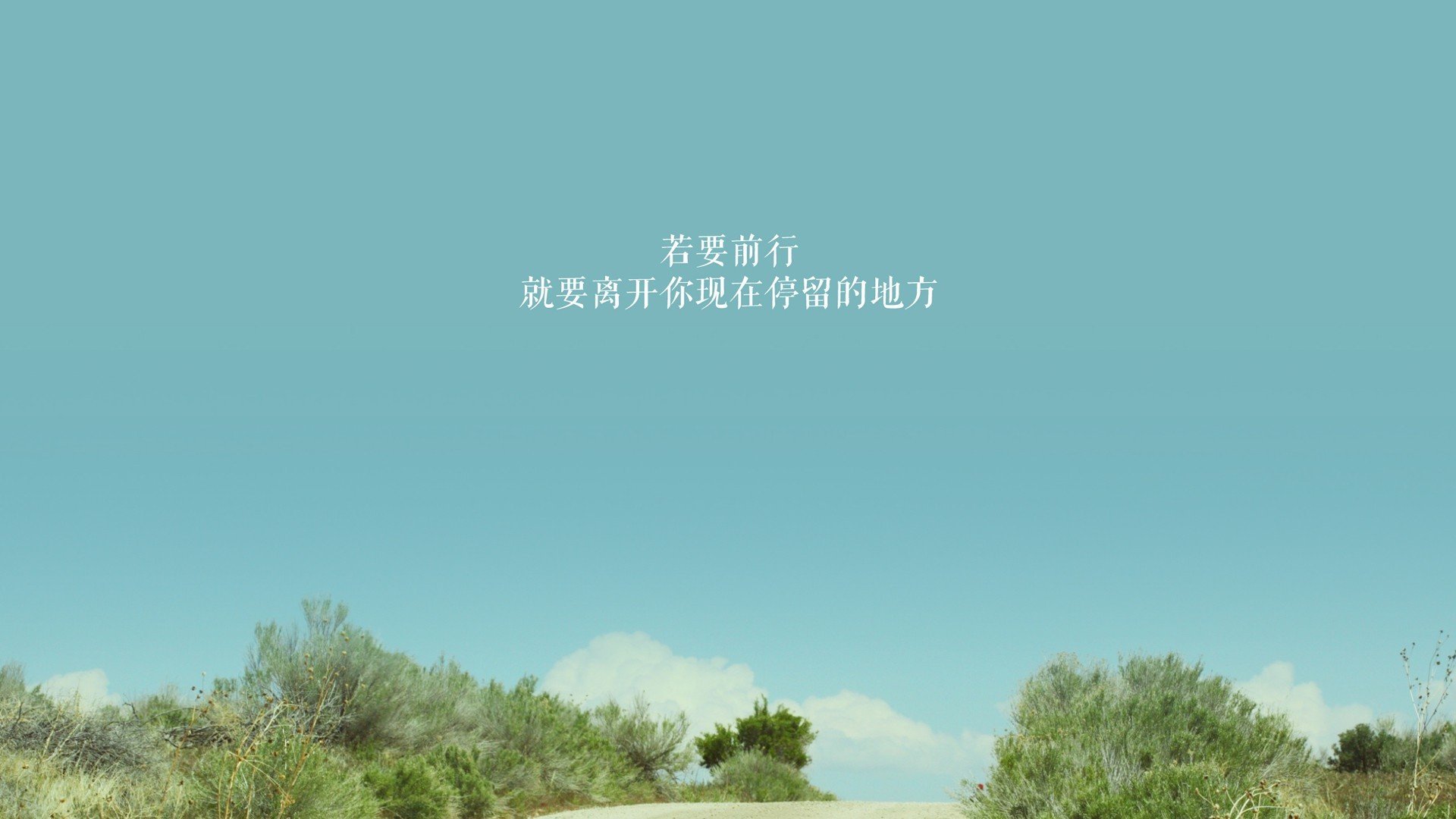 瑞士马术协会与国际组织合作，推广“Schwingfest”至全球。，瑞士mas项目