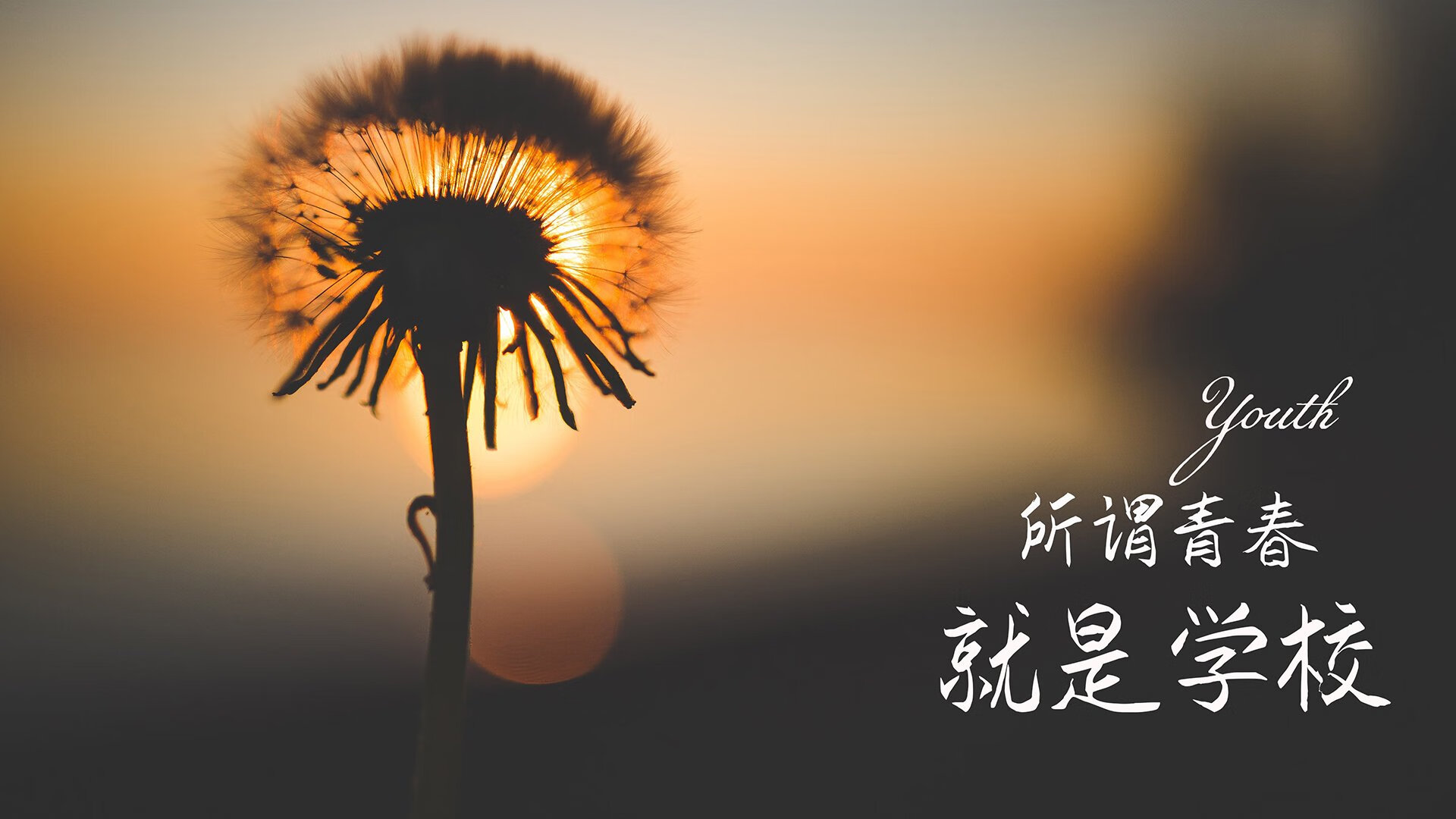 青少年“追梦之旅”篮球公益项目在全国多地同步推进，篮球追逐梦