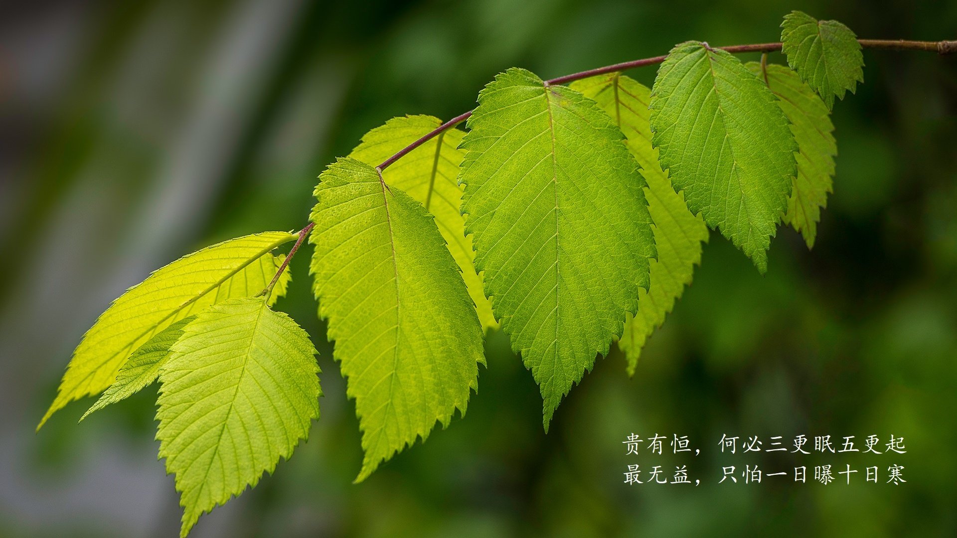 kaiyun体育app-湖人压哨胜鹈鹕，詹姆斯突破4000次助攻里程碑，詹姆斯准三双湖人大胜鹈鹕