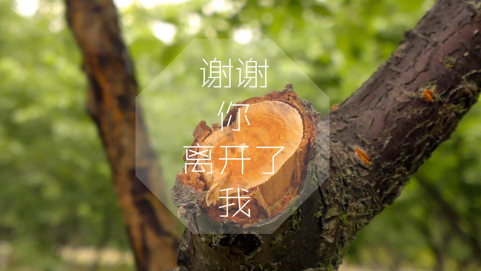 决赛中场控制力决定比赛走向，中场如何控制比赛节奏