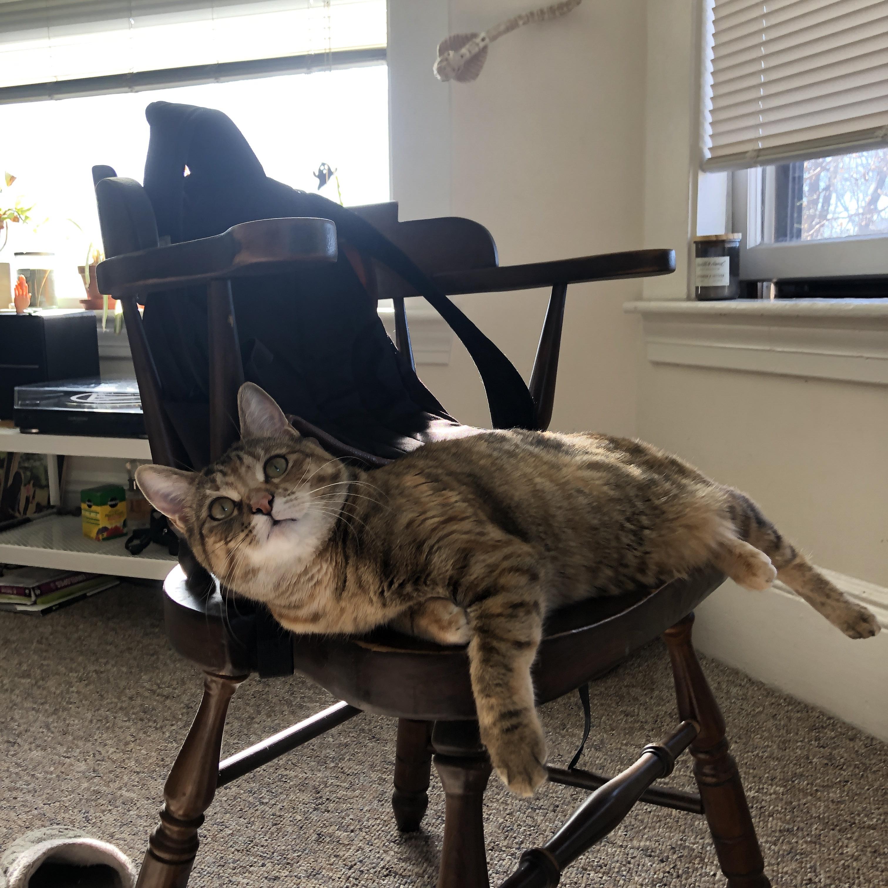 斯密斯：全黑队不可或缺的半场支柱，进攻线上的关键人物，sime斯密