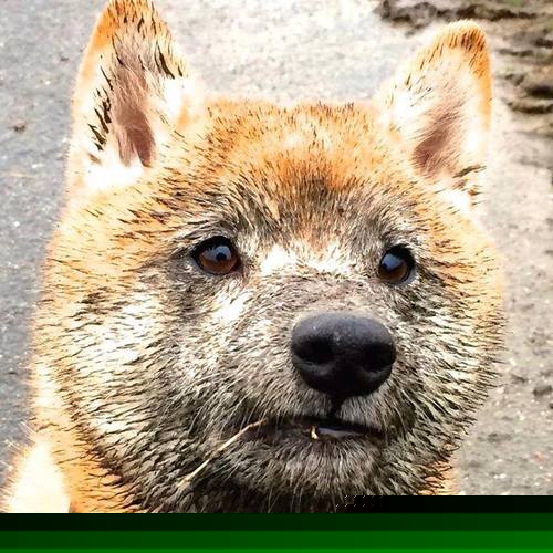 热火主帅表示替补阵容将成为球队核心武器，热火主要球员