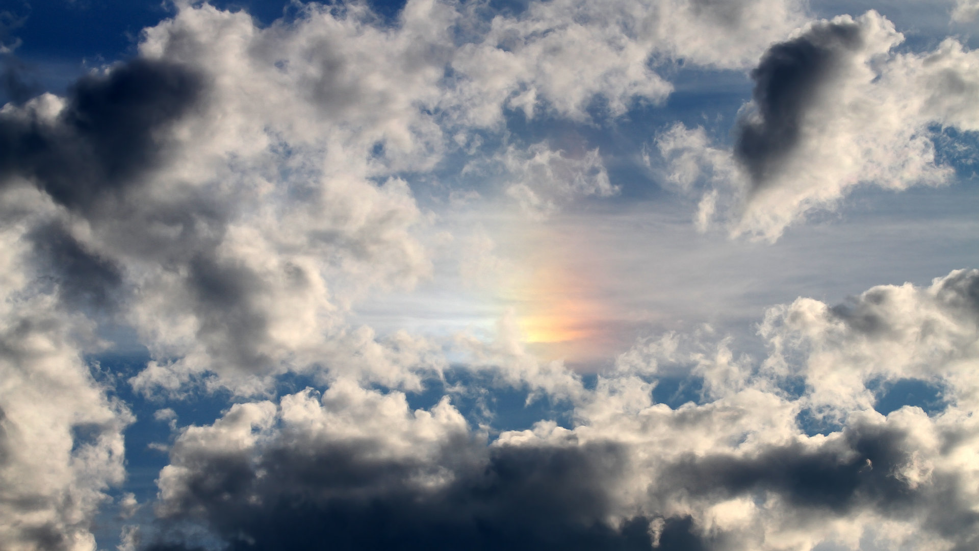 精英俱乐部联动学校培养新星，精英俱乐部章程