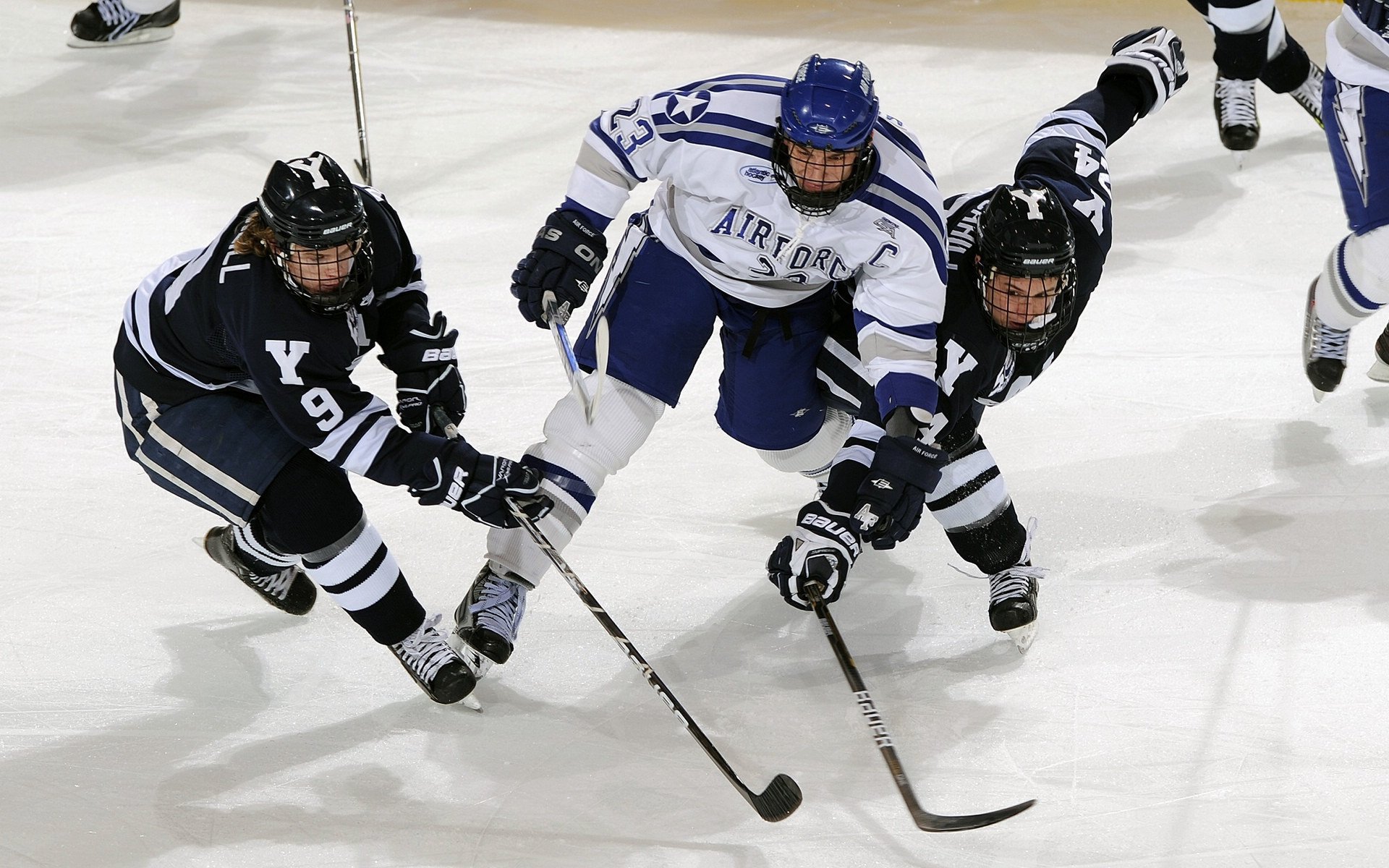 开云体育官方-数字青训项目“赋能”未来,行业智能化水平持续提升,数字青少年宫登录入口